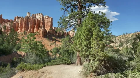 Moss Cave trail between red cliff rocks at Bryce Canyon Stock Footage 214377719