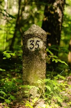 Moss covered Border marker at the site in the forest Stock Photos