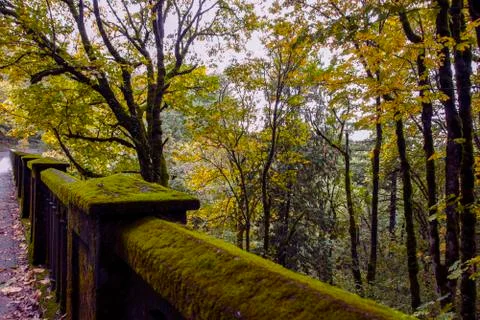 Moss Covered Bridge Stock-Fotos