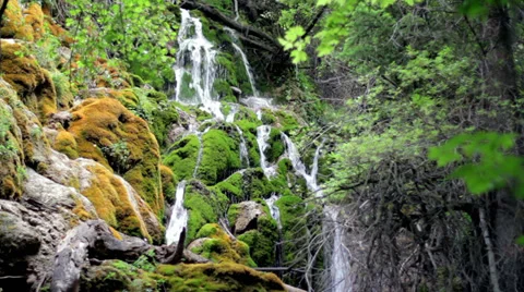 Moss covered cascading waterfall 1080 Stock Footage 28610518
