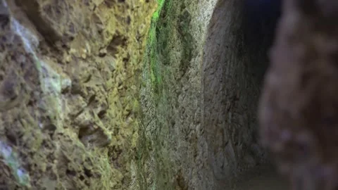 Moss covered cave wall forming natural corridor tunnel - Damp Cave and Rock Wall Stock Footage 339697940