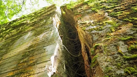 Moss-covered concrete wall of Wolf’s Lair Nazi bunker in northern Poland Video stock 316589031