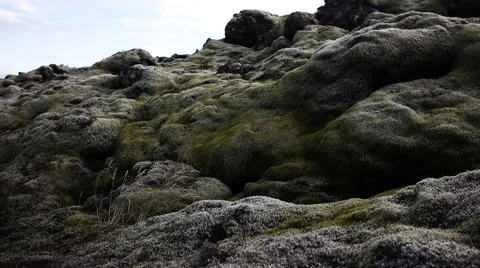 Moss Covered Eldhraun Lava Field Stock Footage 67805372