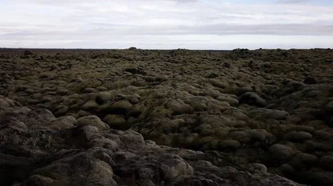 Moss Covered Eldhraun Lava Fields Video stock 67773691