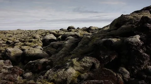 Moss Covered Eldhraun Lava Fields Stock Footage 67789101