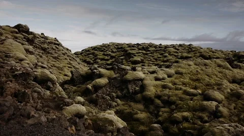 Moss Covered Eldhraun Lava Fields Stock Footage 67807401