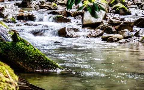 Moss covered fallen tree trunk and rocky stream with smooth flowing water i.. Stock Photos