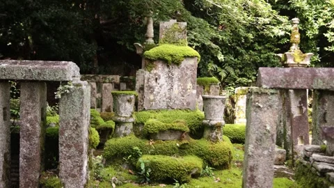 Moss-covered garden elements line the peaceful grounds of Nison-in Temple Video stock 345226902