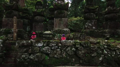 Moss covered graves and statues at Okunoin Cemetery at Koyosan Wakayama in Japan Stock Footage 130347102
