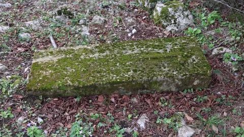 Moss covered gravestone in forest Stock Footage 331200820