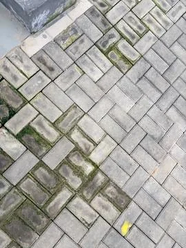 Moss-Covered Herringbone Brick Pavement Pattern 스톡 사진