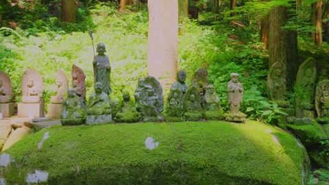Moss-covered Jizo and Arhat stone statues in a serene forest sanctuary Stock Footage 339041544