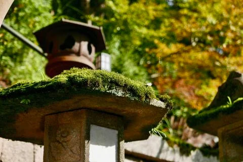Moss covered Kasuga Lantern Foto stock