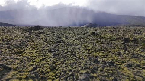 Moss Covered Lava Rocks from Drone Stock Footage 324044949
