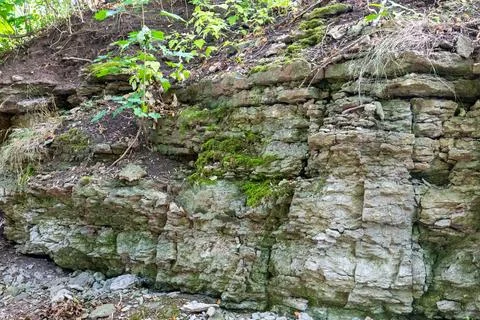 Moss covered layered rock face on forest slope Stock Photos