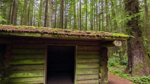 Moss-covered log cabin in dense forest of Ecola State Park, Oregon surrounded by Stock Footage 309294657