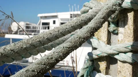 Moss-covered marine ropes wrapped tightly around a concrete posts. Pier. Fence. Stock Footage 299266101