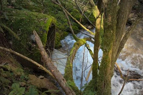 Moss covered pipe that creates waterfall in the woods Stock Photos