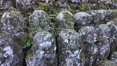 Moss-Covered Rakan Stone Statues at Otagi Nenbutsu-ji Temple in Kyoto, Japan Stock Footage 327229897