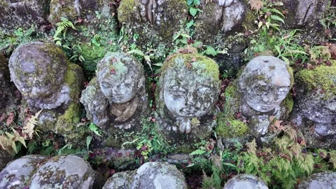 Moss-Covered Rakan Stone Statues at Otagi Nenbutsu-ji Temple in Kyoto, Japan Stock Footage 327229980