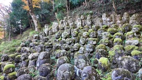Moss-Covered Rakan Stone Statues at Otagi Nenbutsu-ji Temple in Kyoto, Japan Stock Footage 327230166
