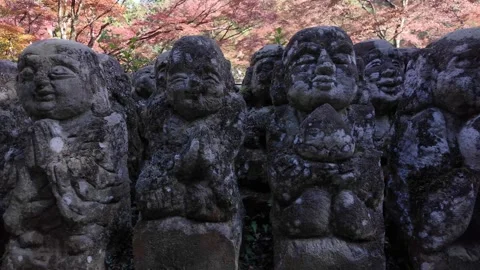 Moss-Covered Rakan Stone Statues at Otagi Nenbutsu-ji Temple in Kyoto, Japan Stock Footage 327230182