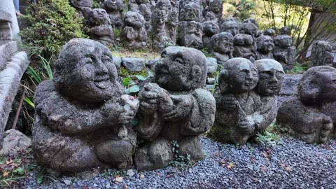 Moss-Covered Rakan Stone Statues at Otagi Nenbutsu-ji Temple in Kyoto, Japan Stock Footage 327230232