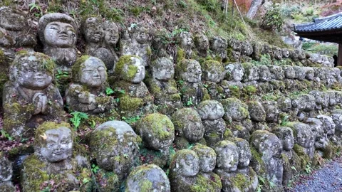 Moss-Covered Rakan Stone Statues at Otagi Nenbutsu-ji Temple in Kyoto, Japan Stock Footage 327230308