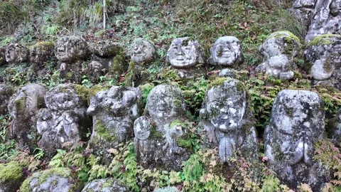 Moss-Covered Rakan Stone Statues at Otagi Nenbutsu-ji Temple in Kyoto, Japan Stock Footage 327230344