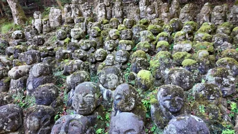 Moss-Covered Rakan Stone Statues at Otagi Nenbutsu-ji Temple in Kyoto, Japan Stock Footage 327230874