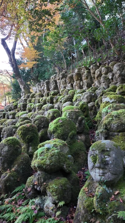 Moss-Covered Rakan Stone Statues at Otagi Nenbutsu-ji Temple in Kyoto, Japan Stock Footage 327231473