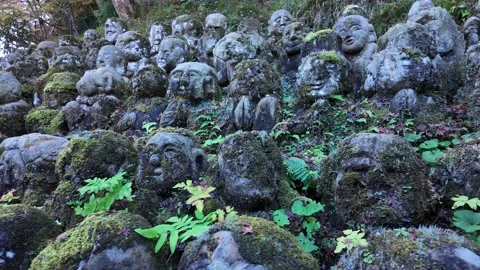 Moss-Covered Rakan Stone Statues at Otagi Nenbutsu-ji Temple in Kyoto, Japan Stock Footage 327231876