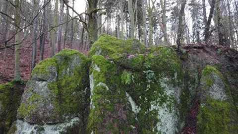 Moss covered Rock formations in forest Stock Footage 228604147
