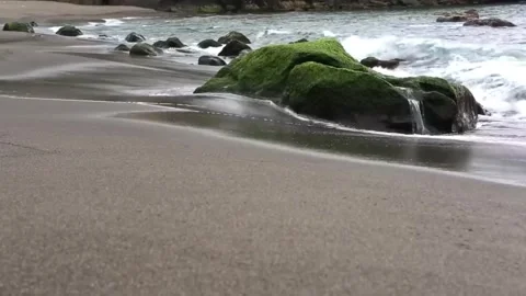 Moss-covered Rock on a Sandy Beach with Gentle Waves Stock Footage 302312361