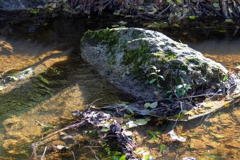 Moss-covered rock in a tranquil stream surrounded by autumn foliage and cle.. Stock Photos