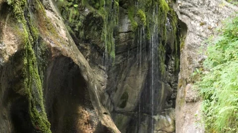 Moss-Covered Rock Wall with Cascading Water in Wimbachklamm, Bavaria Stock Footage 345312714