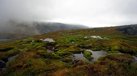 Moss covered rocks and clouds in mountains Stock Photos