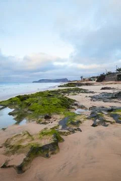 Moss-covered rocks and tidal pools lead to a calm sandy shoreline at dawn 스톡 사진