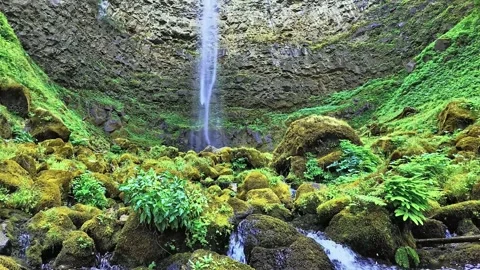 Moss-Covered Rocks and Waterfall in Lush, Green Gorge Stock Footage 301088063