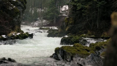 Moss Covered Rocks in beautiful, slow motion rapids/ waterfall Stock Footage 83196735