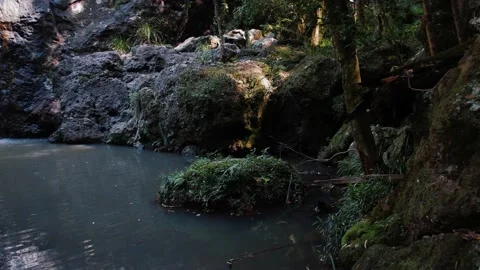 Moss Covered Rocks At The Bottom Of A Waterfall Stock Footage 152682856