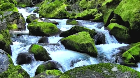 Moss Covered Rocks With Fast Flowing Water In a Mountain Stream in Iceland Video stock 345223943
