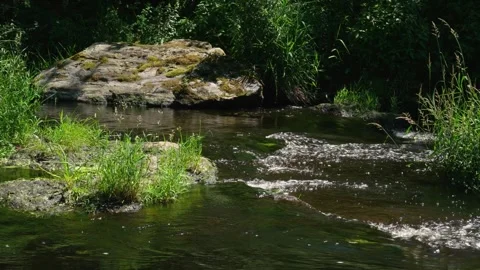 Moss-Covered Rocks in Flowing Forest River Stream Stock Footage 337189180