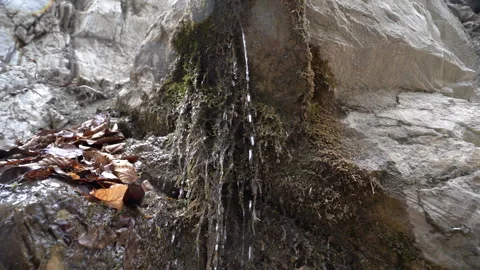 Moss-Covered Rocks with Flowing Water in Slow Motion Video stock 303663153