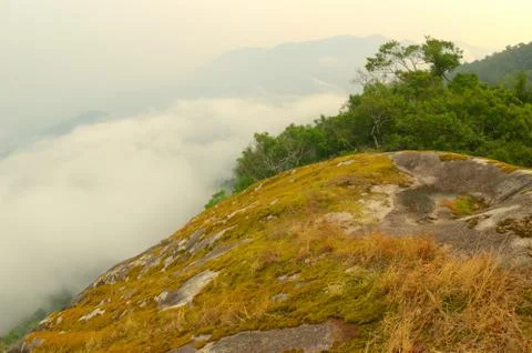 Moss-covered rocks in high cliffs  in the rain forest. Stock Photos
