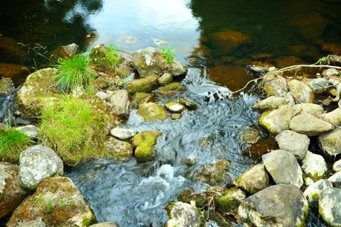 Moss covered rocks make small rapids in a forest stream. Stock Photos