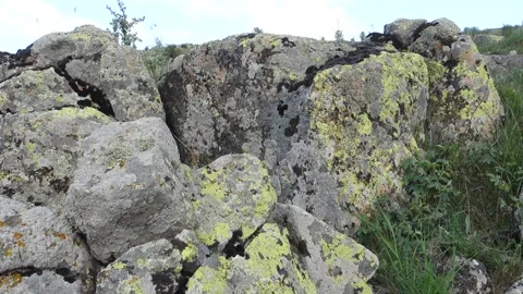 Moss-covered rocks, old rocks mossed over, Video stock 242160403