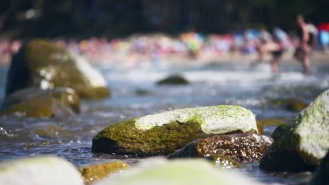 Moss covered rocks in shallow sea water with blurred beach crowd background.. Stock Footage 344308135