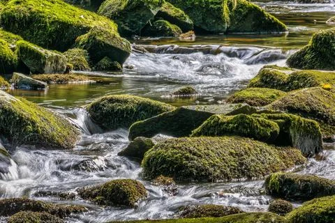 Moss-covered rocks in a stream Stock Photos