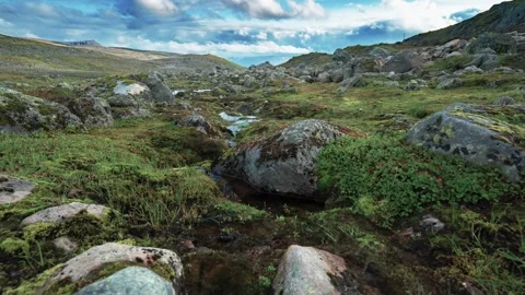 Moss-covered rocks under the stormy sky in the starch Nordic landscape. A Stock Footage 270283038